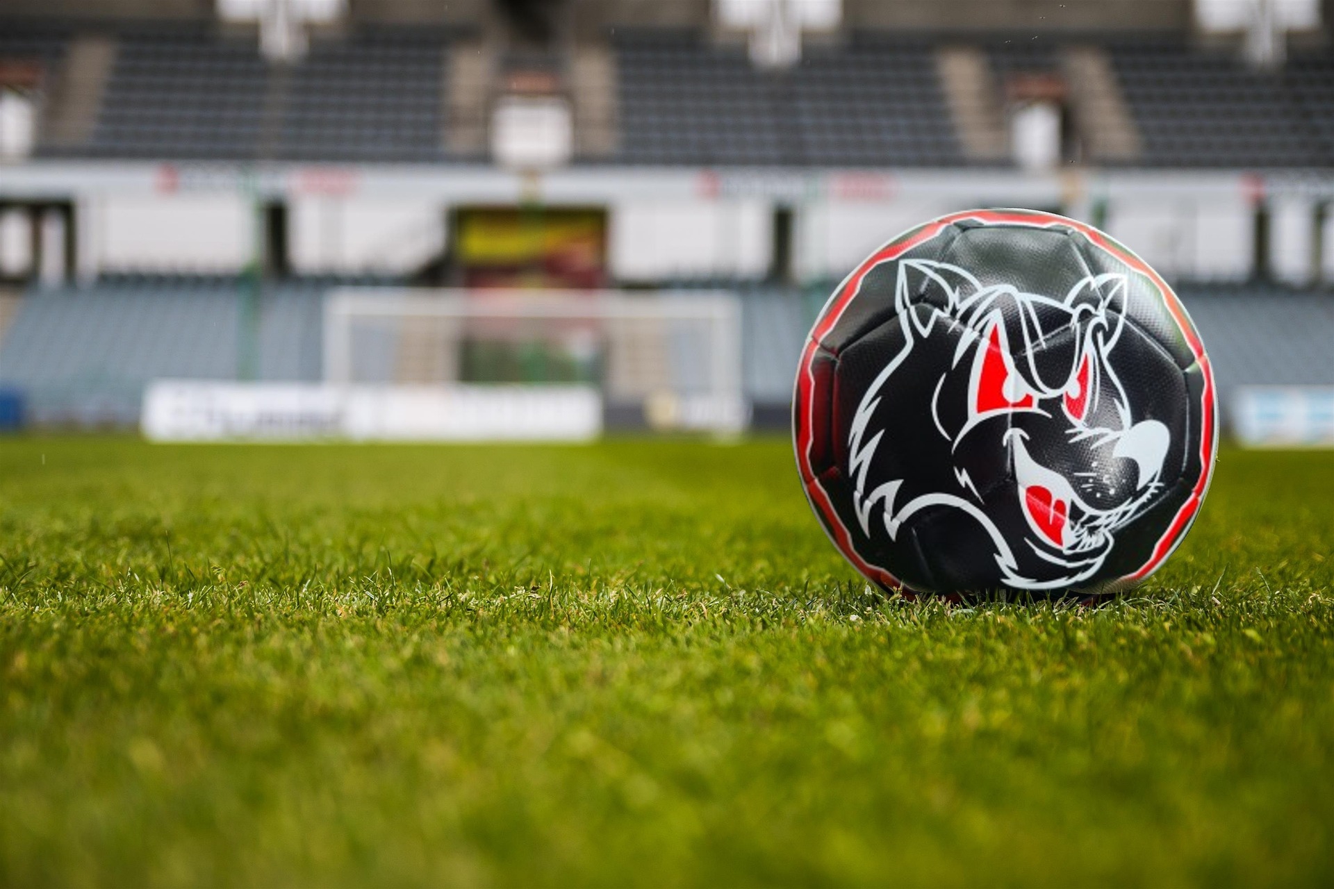 Unsere Trainingsbälle